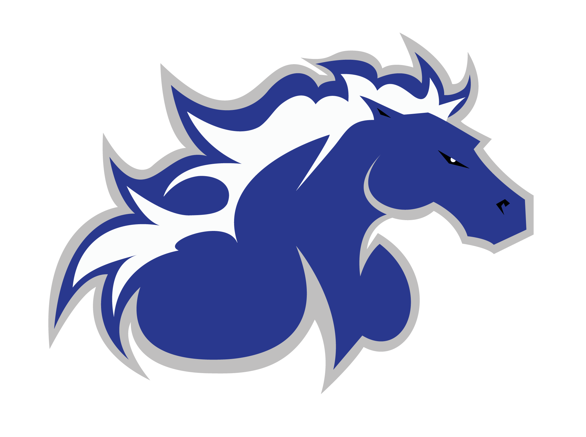NORTH AMERICAN UNIVERSITY